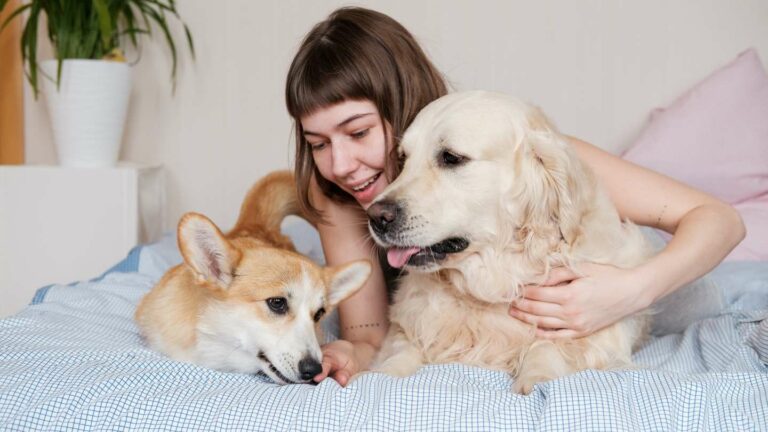 ¿Cuánto cuesta realmente tener una mascota en casa?