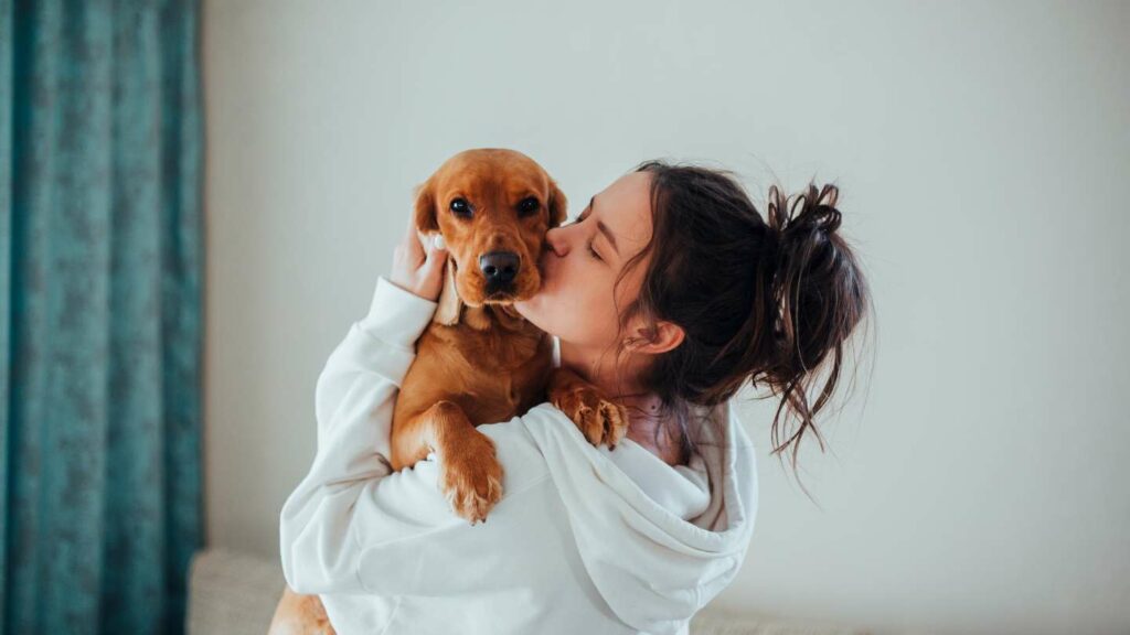 Zoonosis de mascotas: enfermedades que se transmiten a humanos y cómo prevenirlas