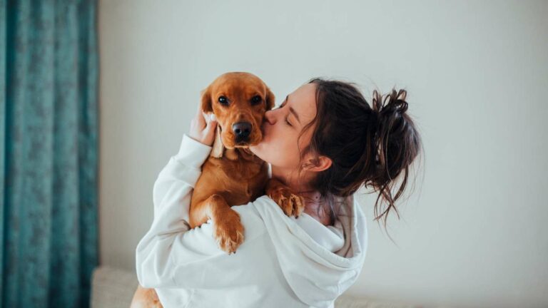Zoonosis de mascotas: enfermedades que se transmiten a humanos y cómo prevenirlas