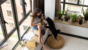 ¿Qué dice la ley sobre las mascotas en las comunidades de vecinos?